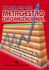 Metagestão organizacional