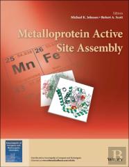 Metalloprotein Active Site Assembly