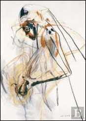 Metamorfoses