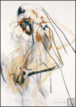 Bertrand.pt - Metamorfoses