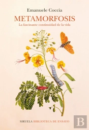 Metamorfosis