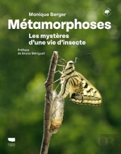 Métamorphoses : Les Mystères D'Une Vie D'Insecte