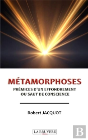 Métamorphoses : Prémices D'Un Effondrement Ou Saut De Conscience