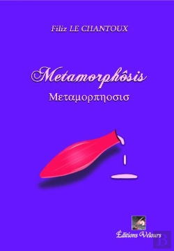 Bertrand.pt - Metamorphosis