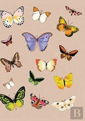 Metamorphosis Journal