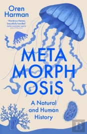 Metamorphosis