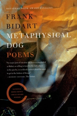 Bertrand.pt - Metaphysical Dog