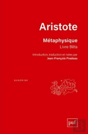 Métaphysique, Livre Bêta