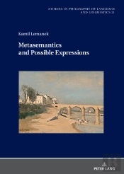 Metasemantics And Possible Expressions