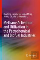 Methane Activation And Utilization In The Petrochemical And Biofuel Industries