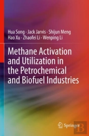Methane Activation And Utilization In The Petrochemical And Biofuel Industries