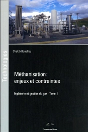 Méthanisation  Enjeux Et Contraintes Tome 1 : Ingénierie Et Gestion Du Gaz