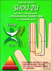 Methode D'Apprentissage Du Reequilibrage Energetique Par Les Meridiens Byols