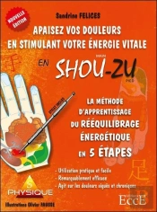 Methode D'Aprentissage Du Reequilibrage Energetique En 5 Etapes - Apaisez Vos Douleurs En Stimulant