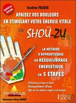 Bertrand.pt - Methode D'Aprentissage Du Reequilibrage Energetique En 5 Etapes - Apaisez Vos Douleurs En Stimulant