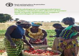 Methodological Recommendations To Better Evaluate The Effects Of Farmer Field Schools Mobilized To Support Agroecological Transitions
