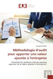 Methodologie D'Audit Pour Apporter Une Valeur Ajoutee A L'Entreprise - Comment Les Auditeurs Interne