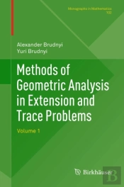 Methods Of Geometric Analysis In Extension And Trace Problems