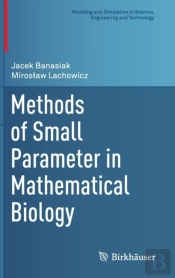 Methods Of Small Parameter In Mathematical Biology