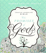 Mev Promises Of God Creative Journaling Bible