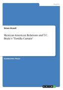 Mexican-American Relations And T.C. Boyle'S Tortilla Curtain