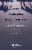 Mexico Vulnerabilidad Social Y Pandemia