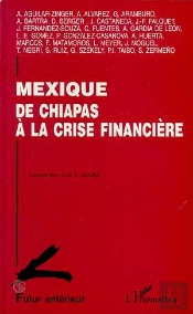 Mexique ; De Chiapas A La Crise Financiere