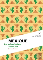 Mexique : La Révolution Sans Fin