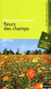 Mgtt Fleurs Des Champs