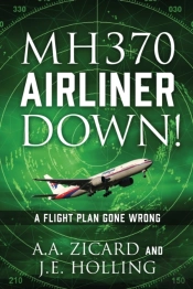 Mh370 Airliner Down!