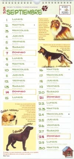 Bertrand.pt - Mi Amigo El Perro