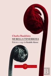Mi Bella Tenebrosa