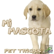 Mi Mascota