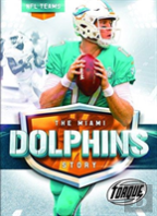 Miami Dolphins Story