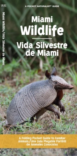 Bertrand.pt - Miami Wildlife/Vida Silvestre De Miami