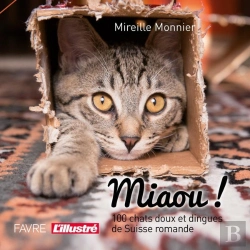 Bertrand.pt - Miaou! 100 Chats Doux Et Dingues