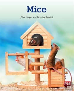 Bertrand.pt - Mice