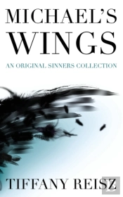 Michael'S Wings