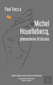 Michel Houellebecq, Phénomène Littéraire