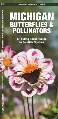 Bertrand.pt - Michigan Butterflies & Pollinators