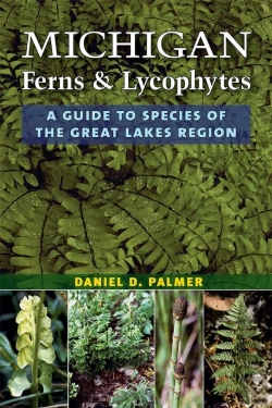Bertrand.pt - Michigan Ferns And Lycophytes