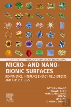 Bertrand.pt - Micro- And Nano-Bionic Surfaces