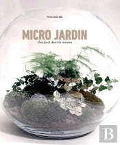 Micro Jardins, Une Foret Dans La Maison