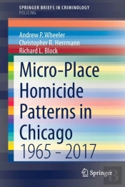 Micro-Place Homicide Patterns In Chicago