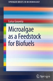 Microalgae As A Feedstock For Biofuels