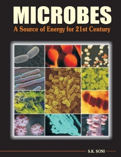 Bertrand.pt - Microbes: A Source Of Energy For 21st Century