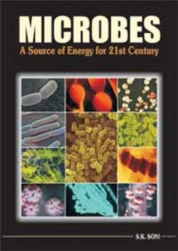 Bertrand.pt - Microbes: A Source Of Energy For 21st Century