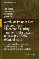 Microbiota From The Late Cretaceous-Early Palaeocene Boundary Transition In The Deccan Intertrappean Beds Of Central India