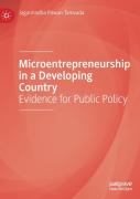 Microentrepreneurship In A Developing Country