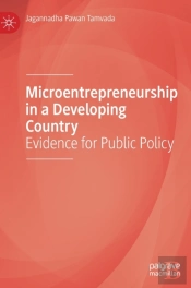 Microentrepreneurship In A Developing Country